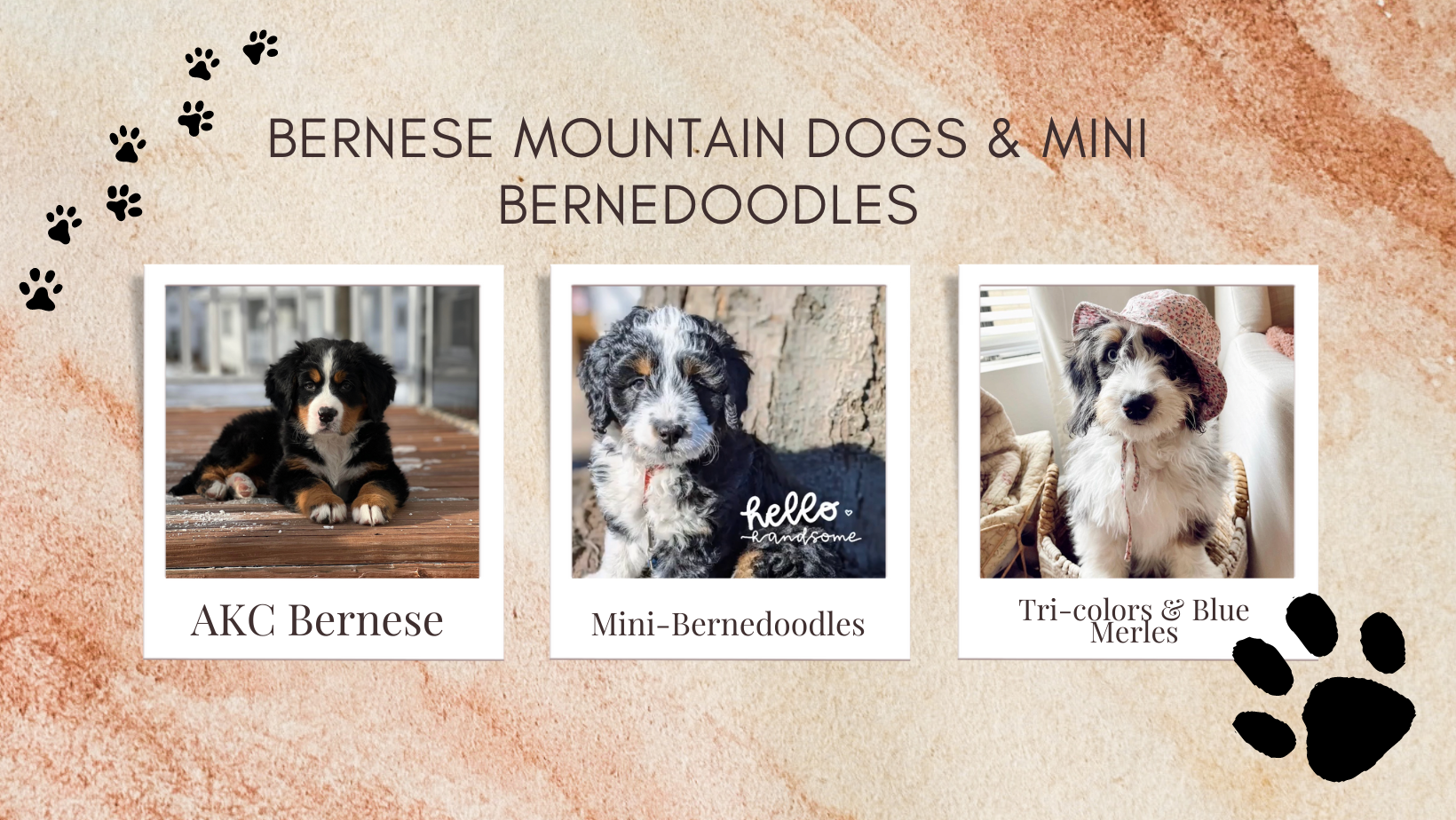 Brown Watercolor Collage Blogger Facebook Cover